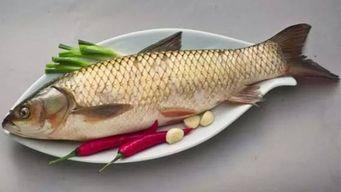 鱼和哈密瓜能一起吃吗