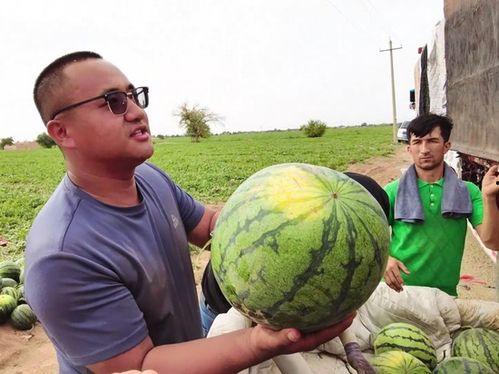 曾经吃瓜大世界,一场全民参与的娱乐盛宴