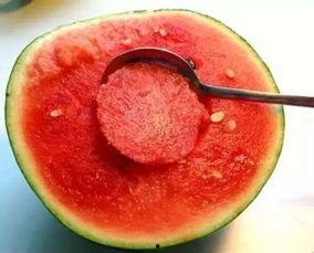 吃瓜越吃越大是什么体验,揭秘“瓜界”的奇妙体验