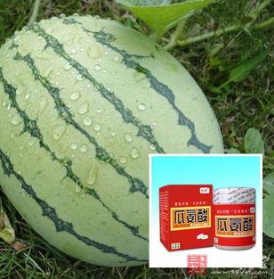 吃瓜产生快感,为何吃瓜能带来快感