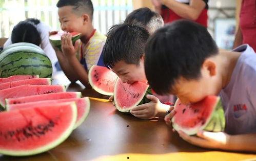 小镇吃瓜大赛,吃瓜大赛一触即发，全民盛宴精彩纷呈