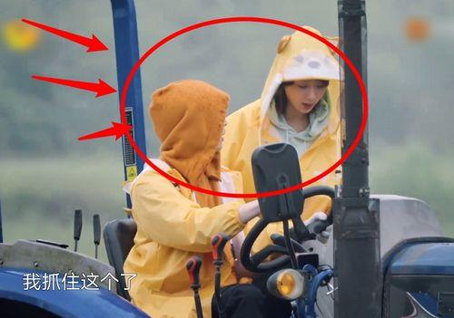 蘑菇屋全员吃瓜,共享田园生活乐趣