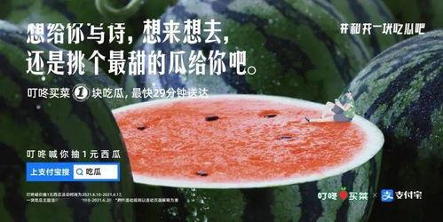 不让吃瓜文案,聚焦自我成长