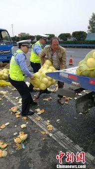 吃瓜群众溏溏,揭秘吃瓜群众的趣味生活