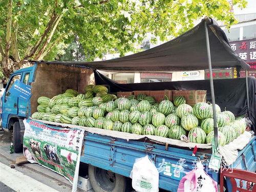 方便卖瓜 吃瓜,揭秘网络热词背后的文化现象