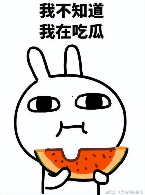 吃瓜大马猴,网络红人的崛起与影响力