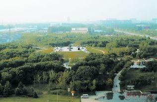 曹县环岛吃瓜,一场别开生面的“吃瓜”盛宴