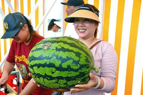 11吃瓜,揭秘娱乐圈背后的那些事儿